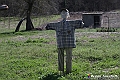 VBS_8862- Risvegli